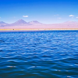 Tour Laguna Cejar, Ojos del Salar y Laguna Tebinquinche