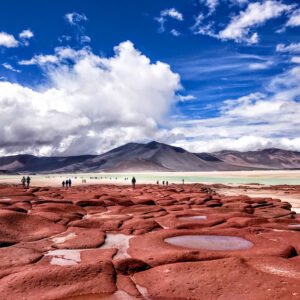 Tour Piedras Rojas y Lagunas Altiplánicas