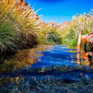 Tour Termas del Puritama